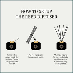 DailyNeedDeals™ Orange Sandalwood Reed Diffuser Set | Premium Room Freshener